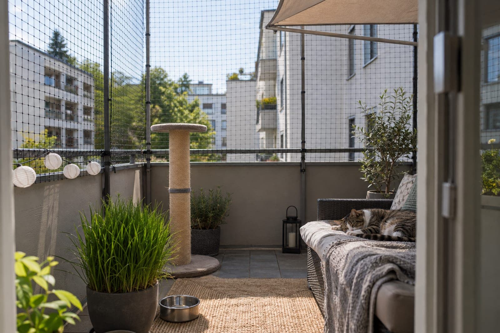 Katzensicherer Balkon mit Netz an Teleskopstangen, Katzengras und Schattenplatz